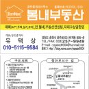 봄내부동산공인중개사사무소 네이버블로그