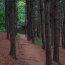 잣나무약수터 이미지