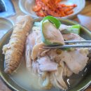 토종닭칼국수 | 제주 조천 교래리 보양식 맛집 경도원가든 더덕 토종닭 백숙 후기