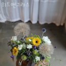 남양주꽃배달 위트앤그라스 영업시간 문의