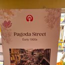 스리상점 | 곳 <차이나타운·파고다 스트리트(Pagoda Street) > 후기 * CHAGEE 차지, 스리 마이암만 사원, 스타벅스