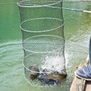 폭포낚시터 이미지