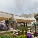 썸데이제로 | 대전 둔산동 루프탑 동남아 감성 브런치 카페 :: 썸데이로맨스