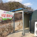 대규미나리 이미지