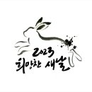 감성 일러스트 캘리그라피 이미지