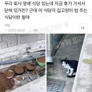 갈미상가조합 | 23.8 _ P의 삶도 나쁘지 않아