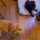 위미애 머물다 이미지