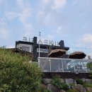 대전 수영장 있는 브런치 카페, 아이 데리고 가기 좋은 대덕구 비래동 &#39;비래키키&#39; 방문 찐 후기👍