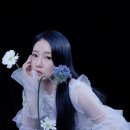 은은해