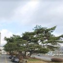 인수모텔 이미지