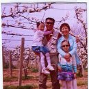 흥화공업(주) Daum카페