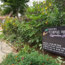 농업회사법인 피그말리온허브(주) 이미지