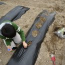 현규농장 이미지