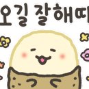 집나간오리돌아온닭백숙 이미지