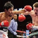 주짓수 복싱 이미지