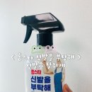 커피를부탁해 | 홈스타 신발을 부탁해 신발 탈취제, 신발 냄새 관리 솔직 후기