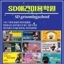 에스디애견미용학원