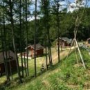 힐링캠프 온라인 이미지