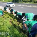 온양4동 온천대로 이미지