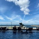 월정첼로하우스 이미지