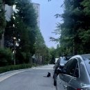 컴포즈커피분당효자촌점