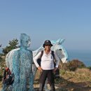 우리나라 아름다운 섬 여행 (3편) 이미지