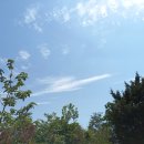 홍릉초교 이미지