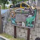 GS25수성레전드점 이미지