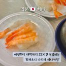 스시이나카 | 나리타 공항 근처 새벽에도 영업하는 회전초밥 전문점 하마스시
