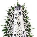 봉산면001 Daum카페
