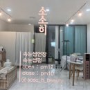 소소히브로우 이미지