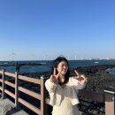 제주라이프 #30 - 삼십번째 일상글 기념 분량조절 대실패.
