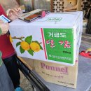 백목련이 피기 시작합니다... 이미지