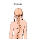 네이처짐 이미지