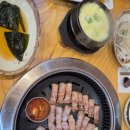 세븐스타코인노래연습장 포항이동점 | 2026.2.27.~28. 포항병(중증) 걸린 대구 여자가 갑자기 찾아옴?! / 인형뽑기 중독자들의 영일대 투어...