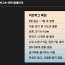 오렌즈부평삼산점 | 러브 버그 퇴치 부평/신대방동/ 에어커튼 설치 후기입니다