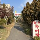 원주추어탕 이미지