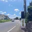 백년해장국성산점 | 표선 현지 맛집 도민들이 적극적으로 얘기하는 백년해장국