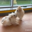 범이한식 | [주간일기] 26년 3월 첫 번째 주간일기