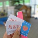평촌오리농장 | 경기도 용인 동물체험 딸기체험농장 포레스트벨 이용후기