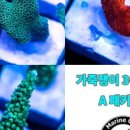 디지마린 - 6483 | 디지마린