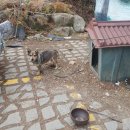 오어사 작은마을  펜션 이미지