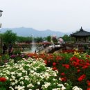 곡성-052 네이버블로그