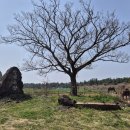 명성목장 이미지