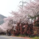 봉수경로당 네이버블로그