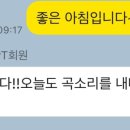 오가닉피티 이미지