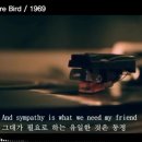 🎵Sympathy- Rare Bird 🎶 이미지