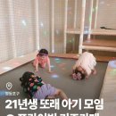 엘스키즈 이미지