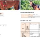 미사리 승마공원 이미지