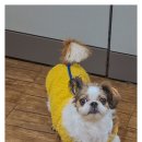 동송읍사무소 이미지